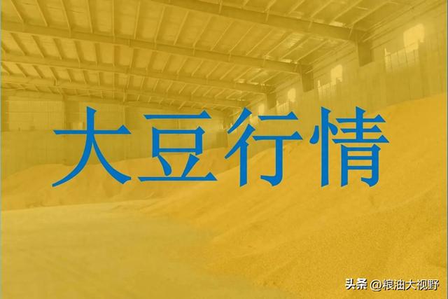 2024年12月19日大豆市场价格行情前瞻