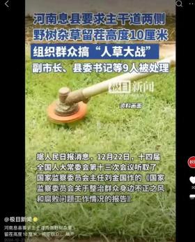 副市长等九人人草大战遭处理，网友，春风吹又生闹剧引热议